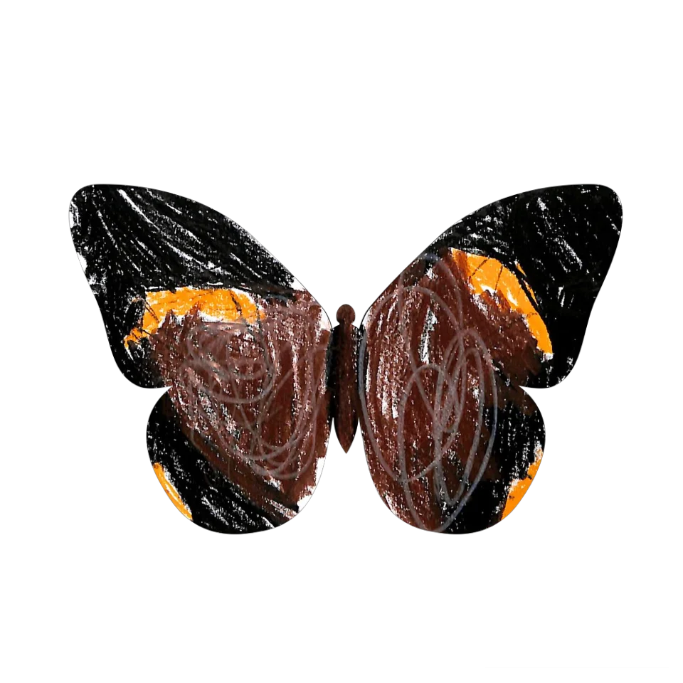 Original Butterfly Image