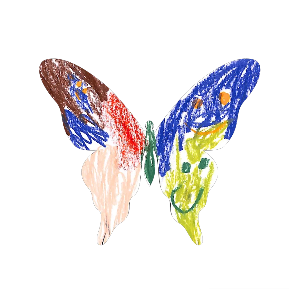 Original Butterfly Image