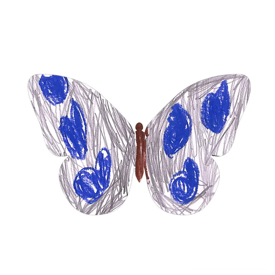 Original Butterfly Image