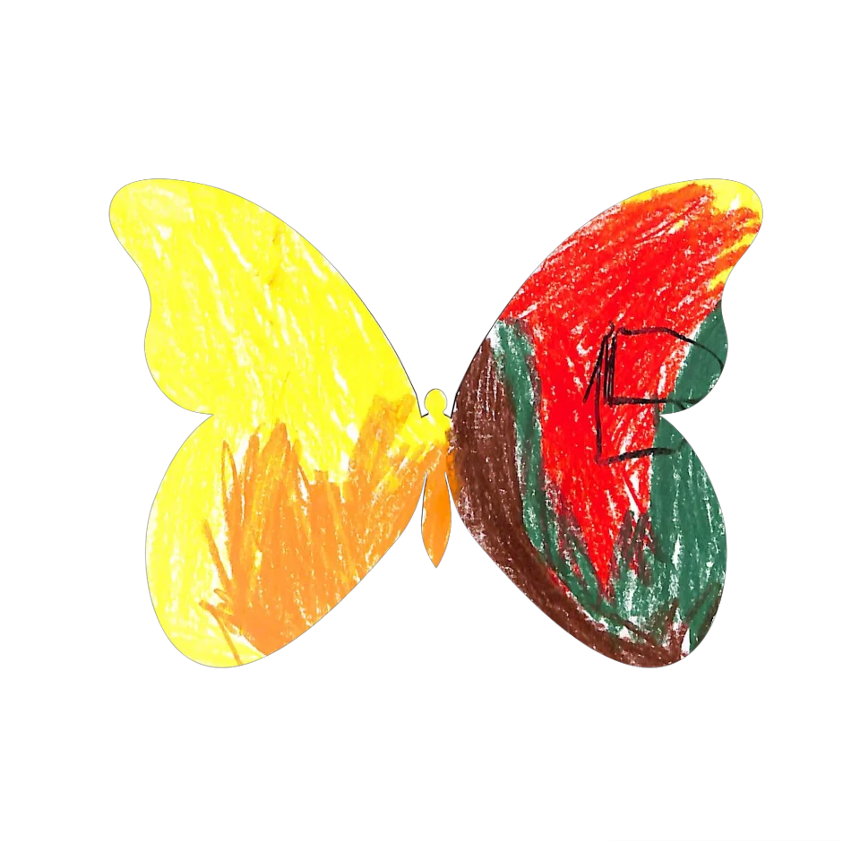 Original Butterfly Image