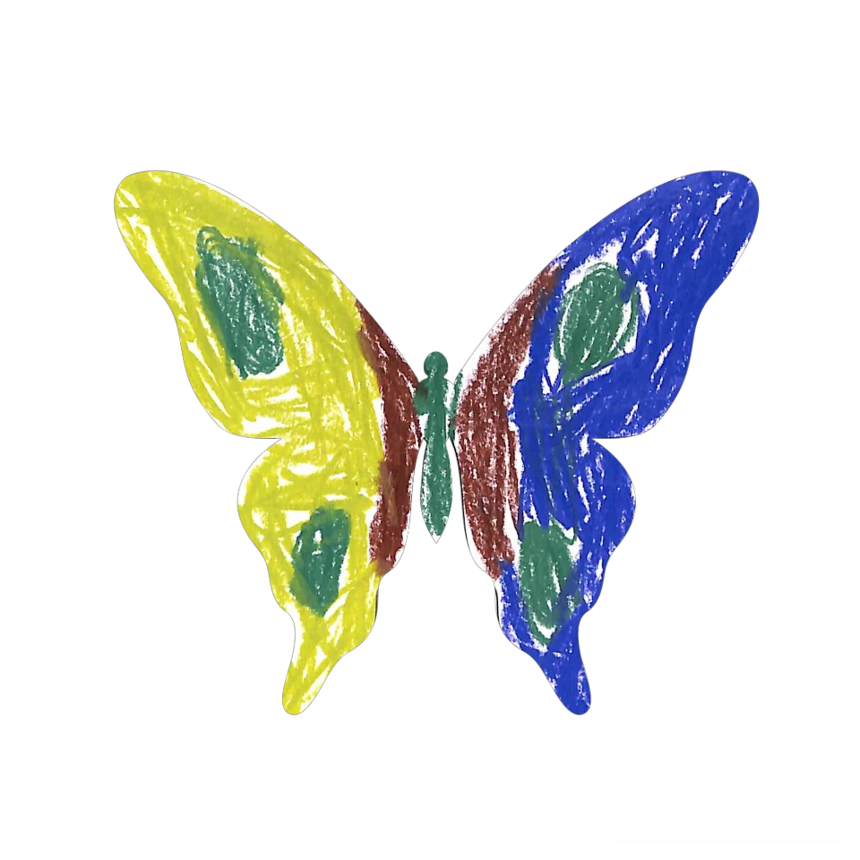 Original Butterfly Image