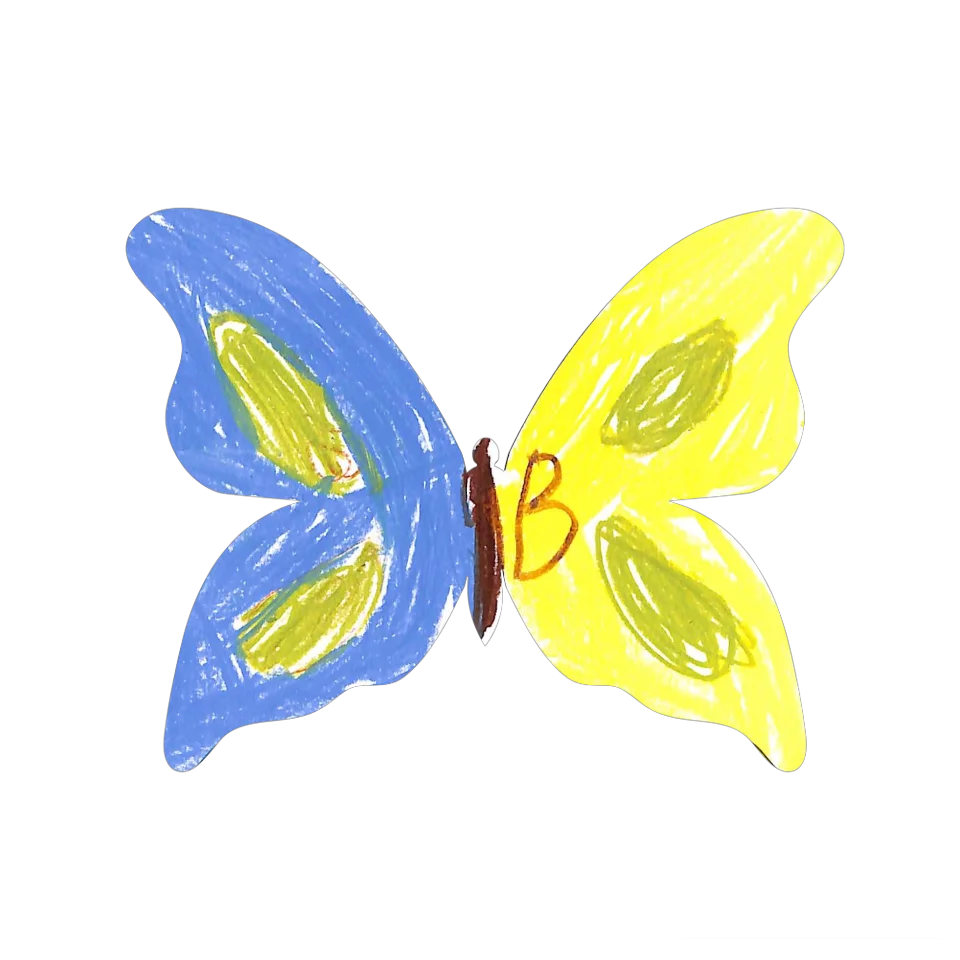 Original Butterfly Image