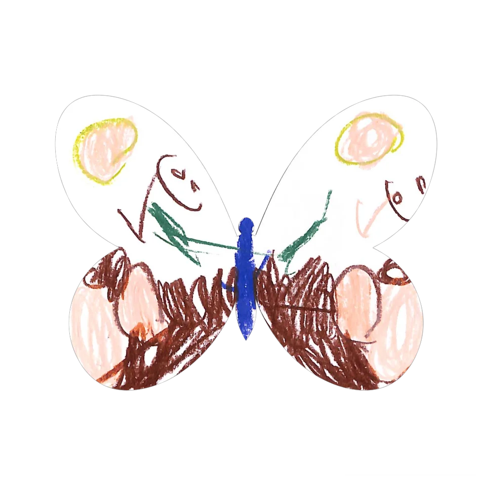 Original Butterfly Image