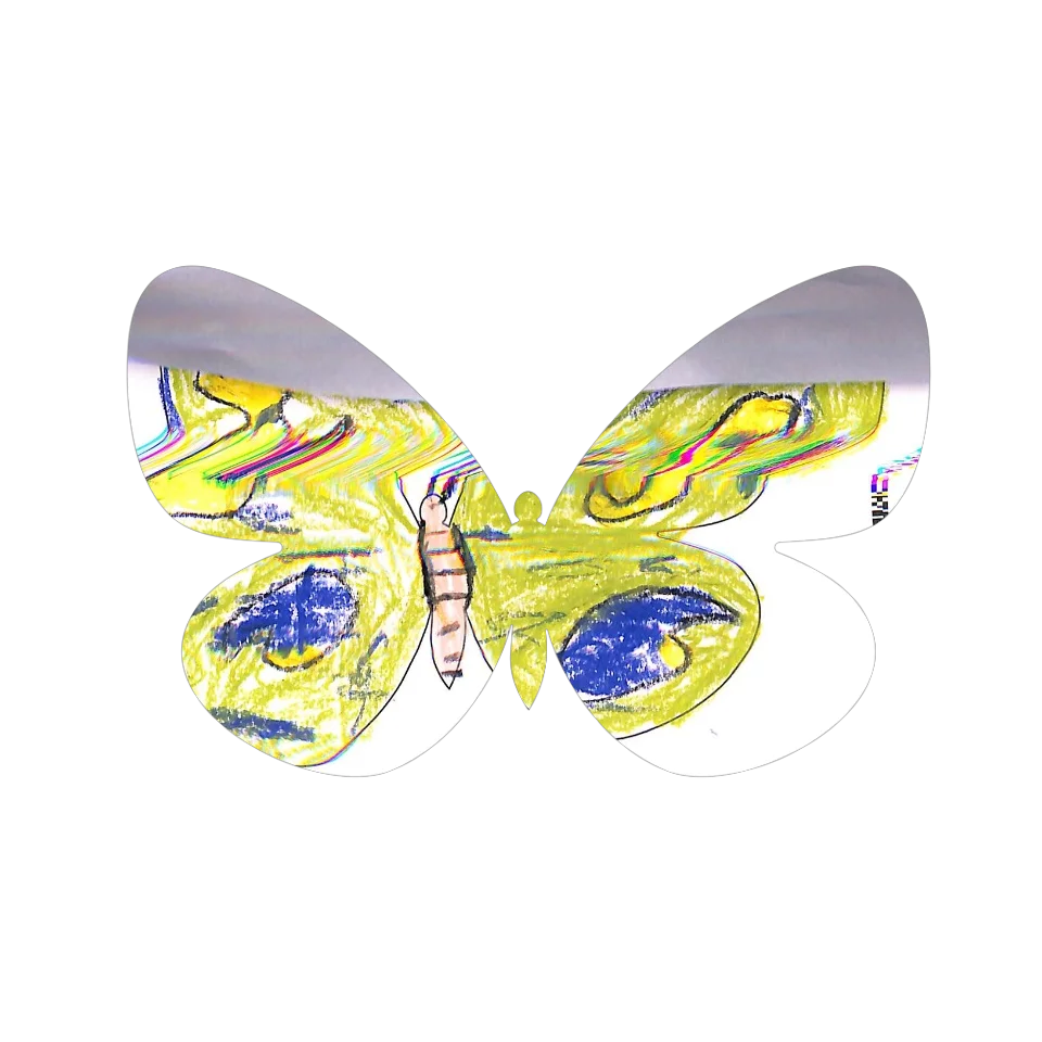 Original Butterfly Image