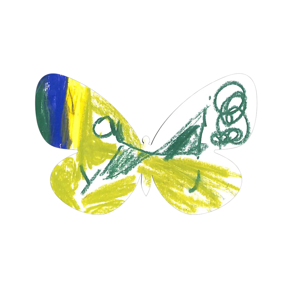 Original Butterfly Image