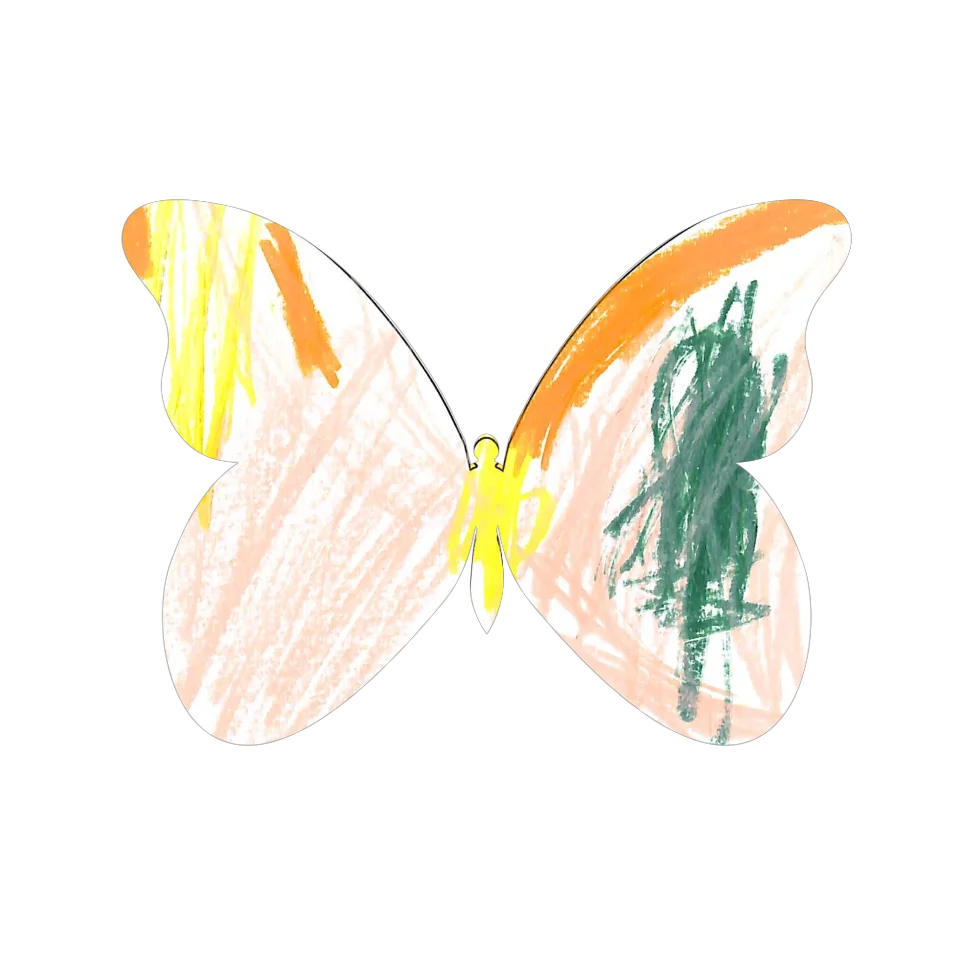 Original Butterfly Image