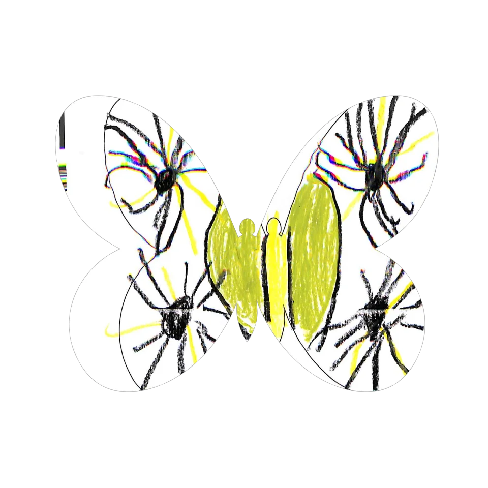 Original Butterfly Image