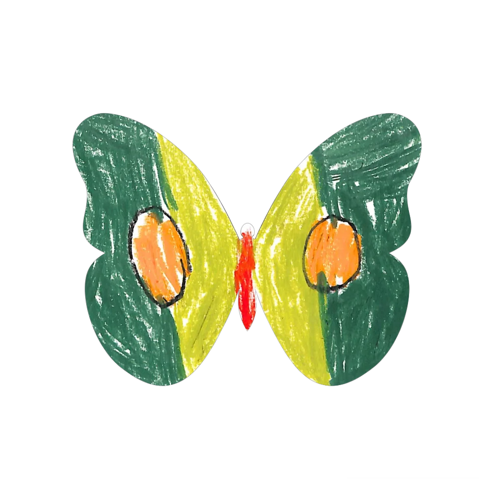 Original Butterfly Image