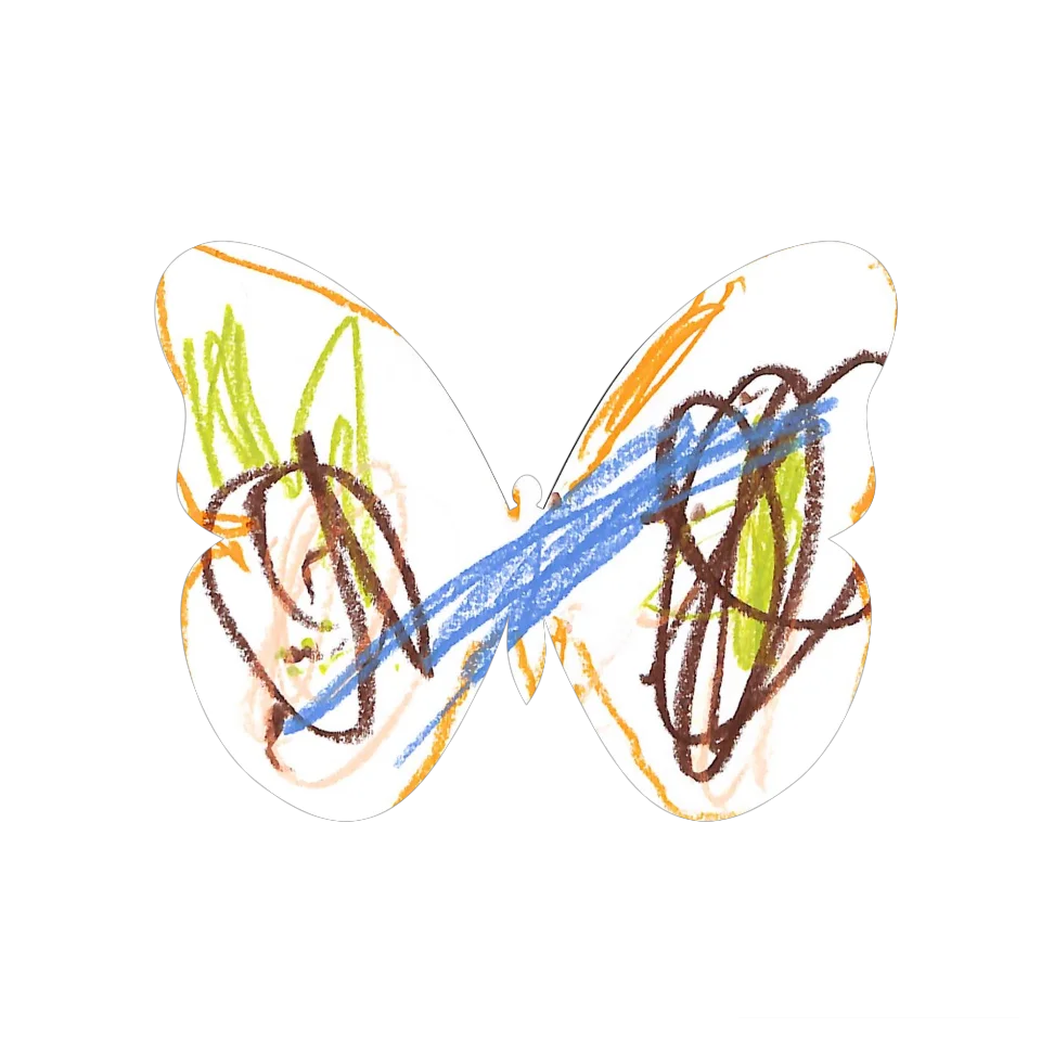 Original Butterfly Image