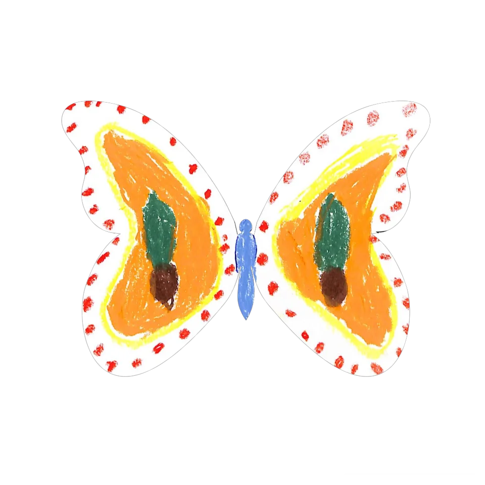 Original Butterfly Image