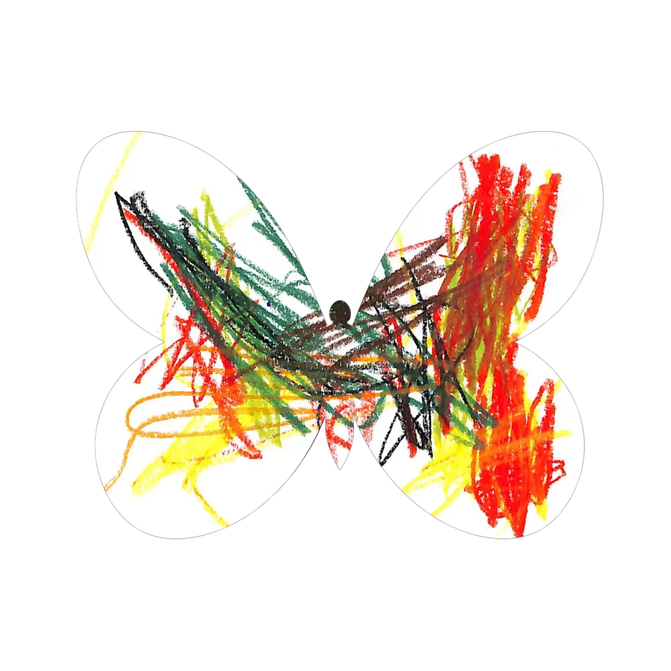 Original Butterfly Image