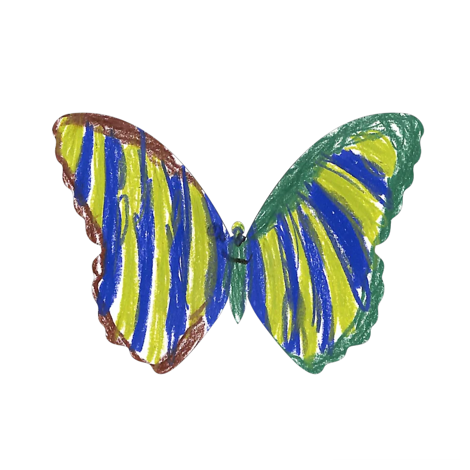 Original Butterfly Image