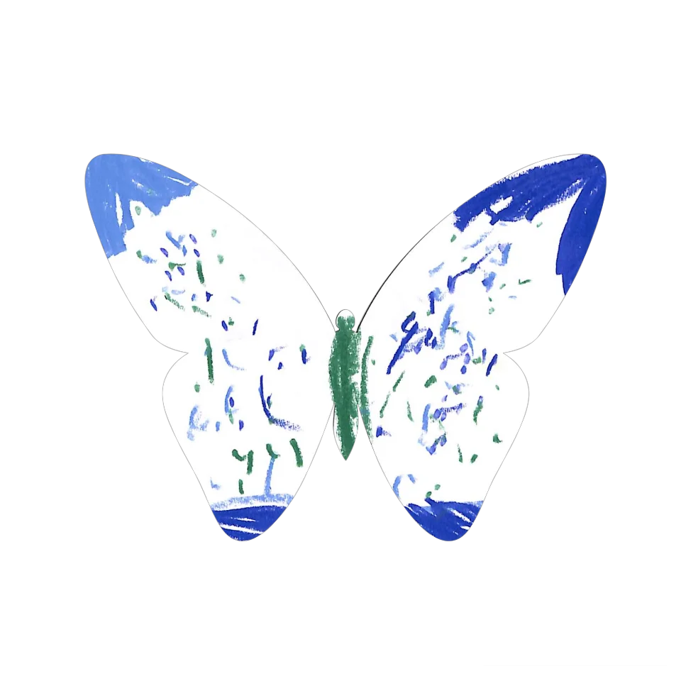 Original Butterfly Image