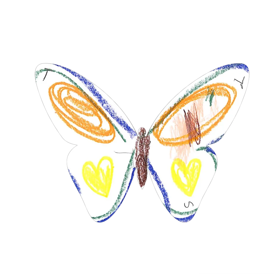 Original Butterfly Image