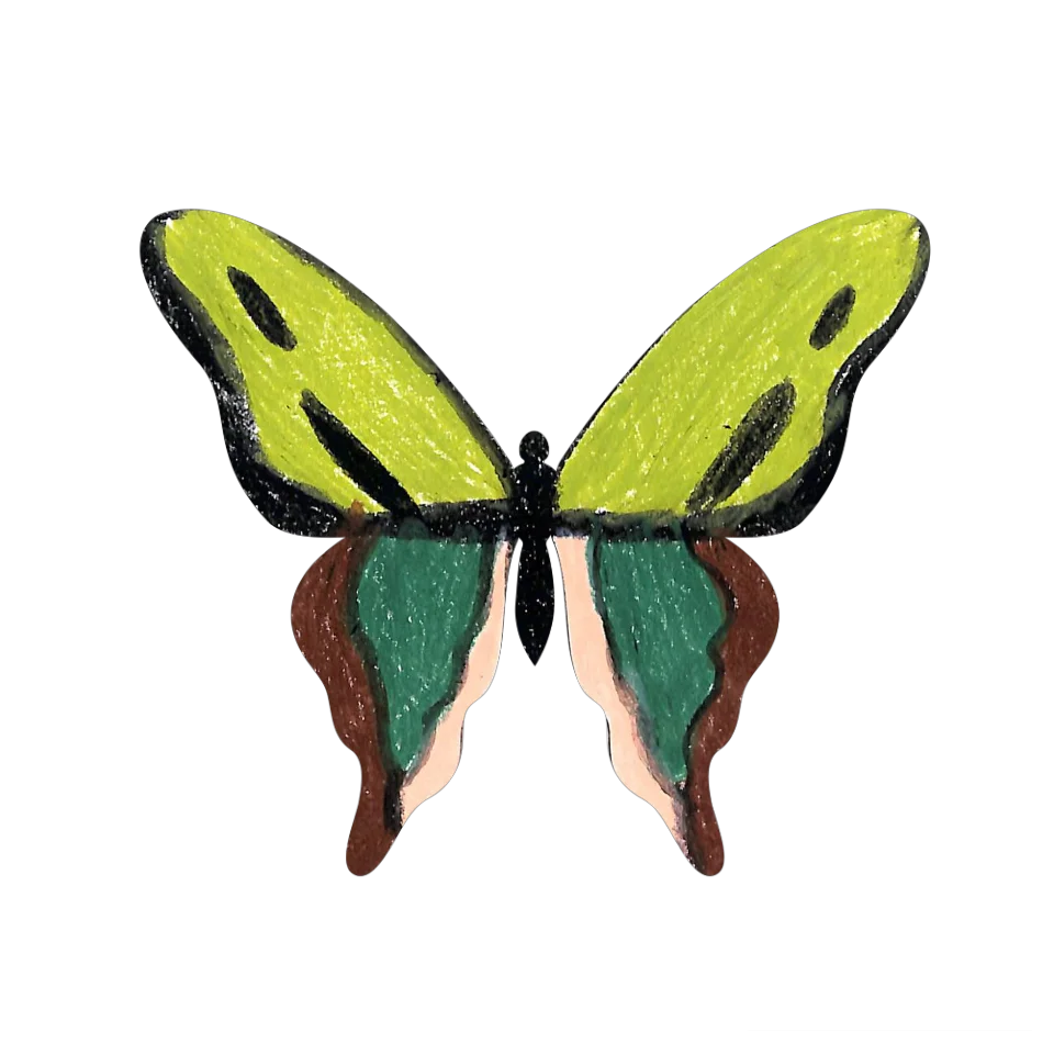 Original Butterfly Image