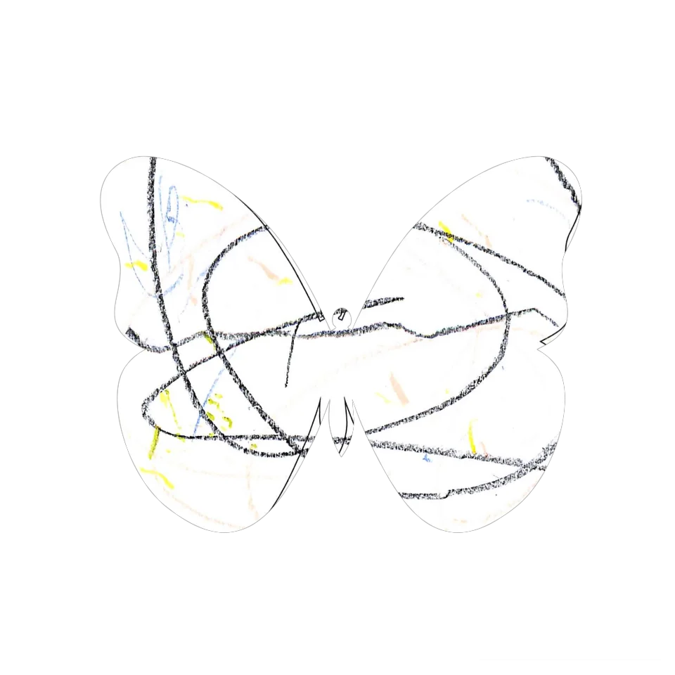 Original Butterfly Image