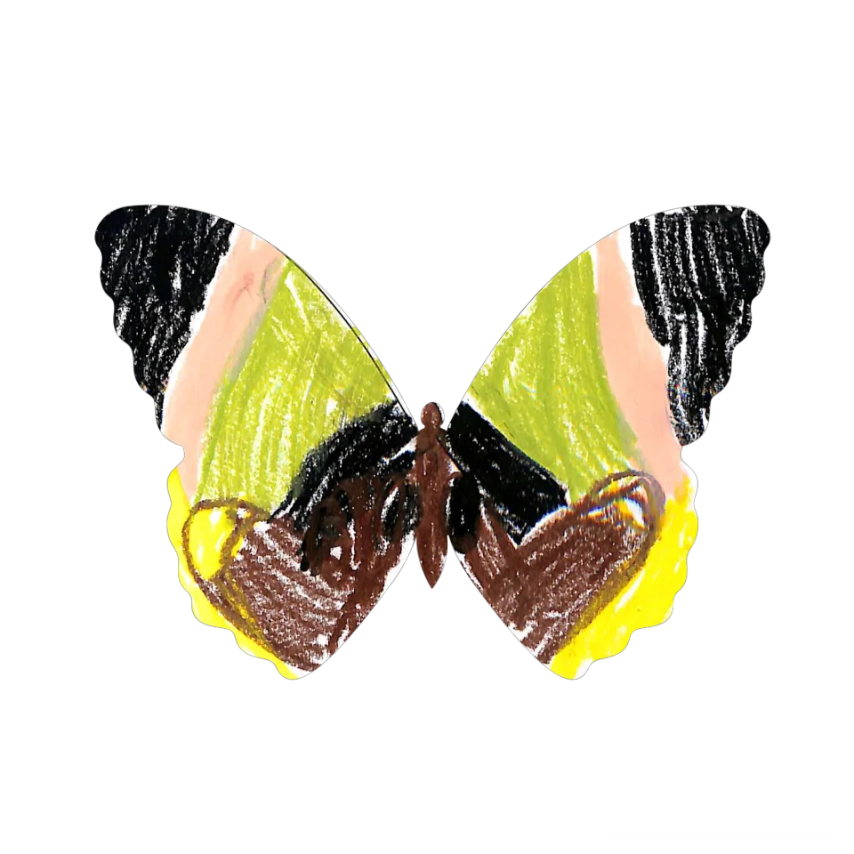 Original Butterfly Image