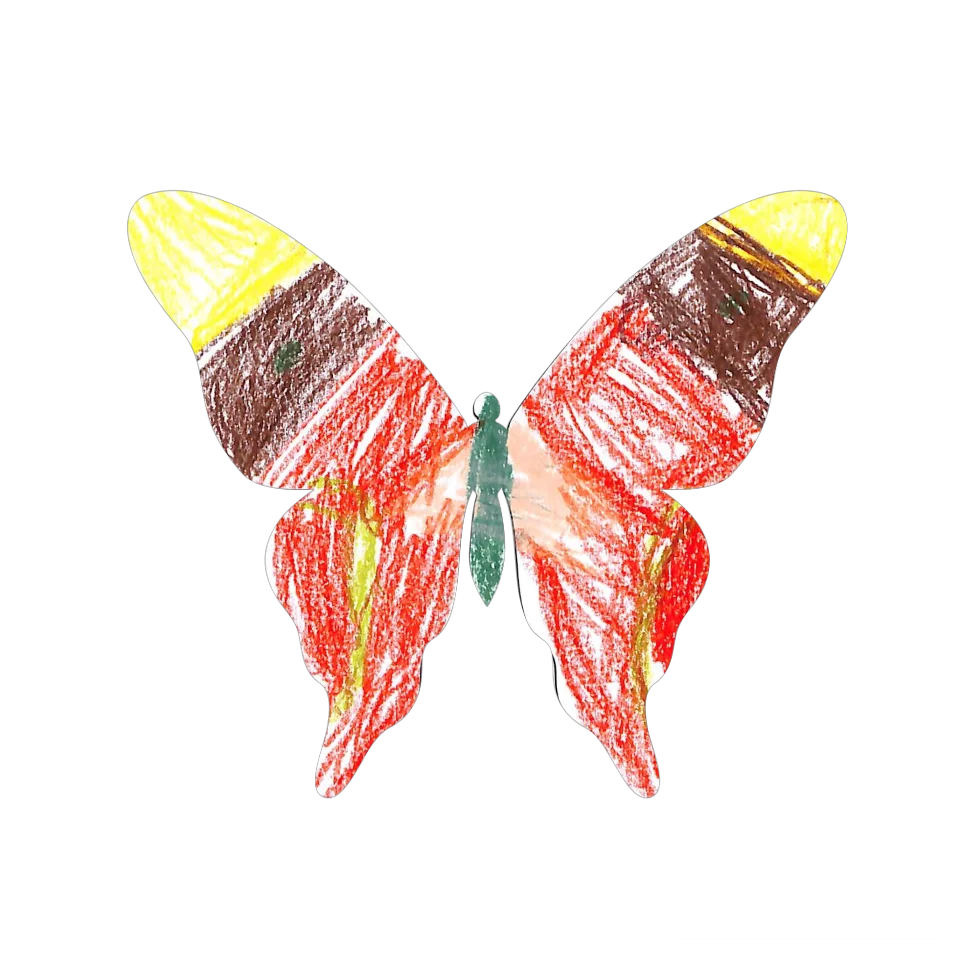 Original Butterfly Image