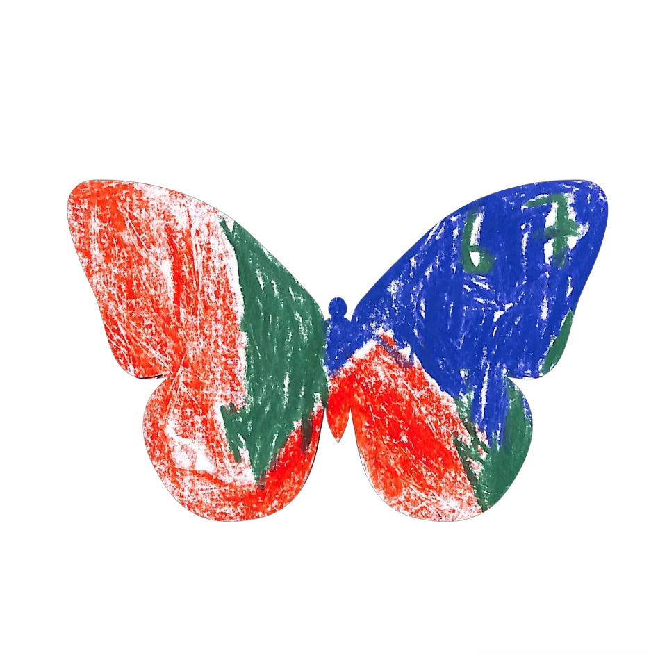 Original Butterfly Image