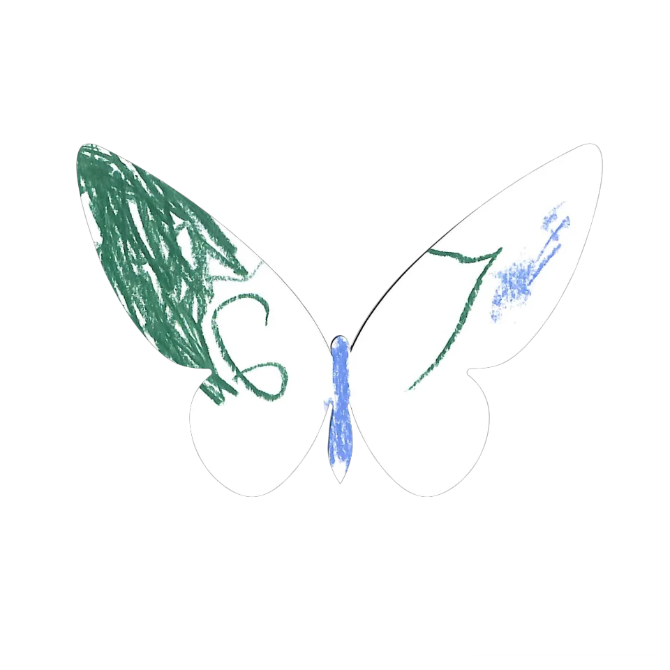 Original Butterfly Image