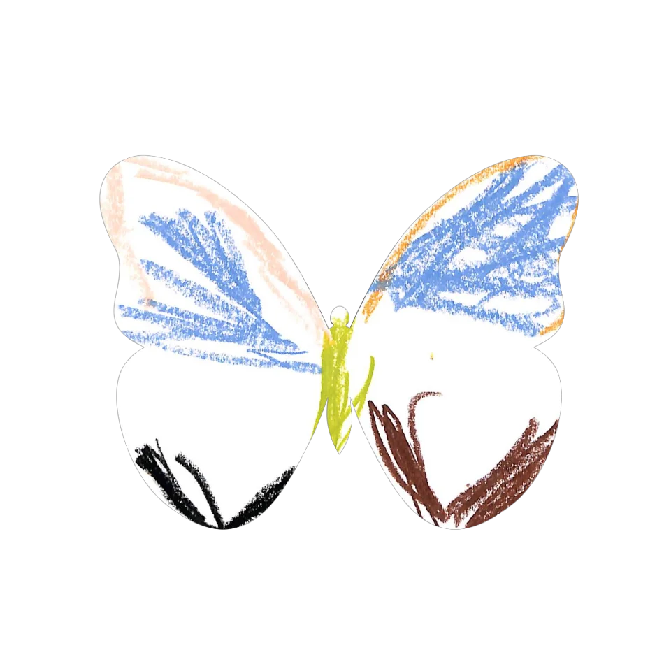 Original Butterfly Image