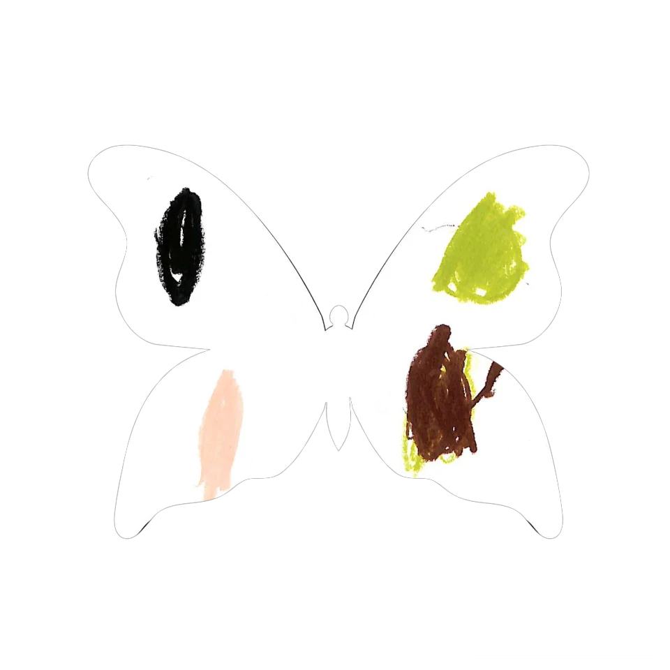 Original Butterfly Image