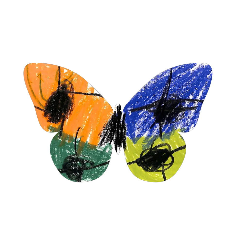 Original Butterfly Image