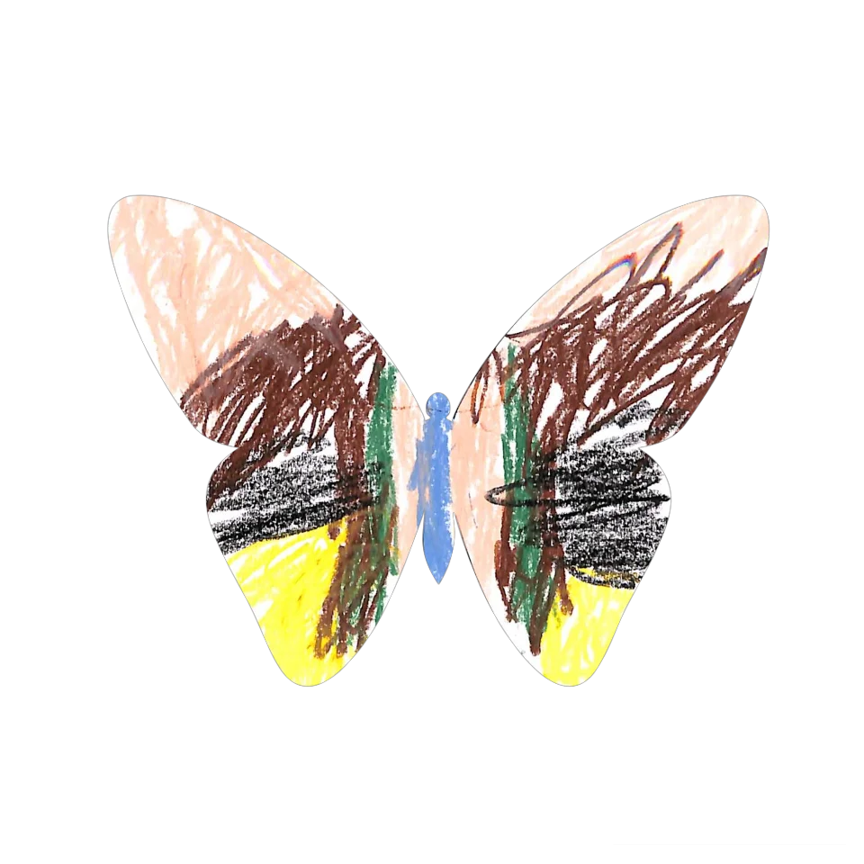 Original Butterfly Image