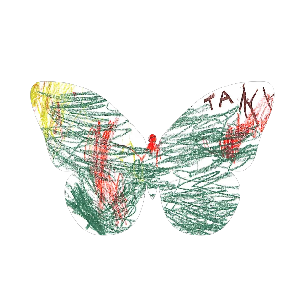 Original Butterfly Image