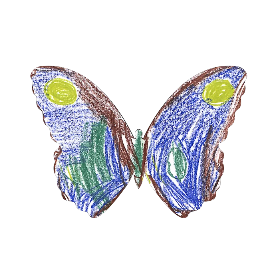 Original Butterfly Image