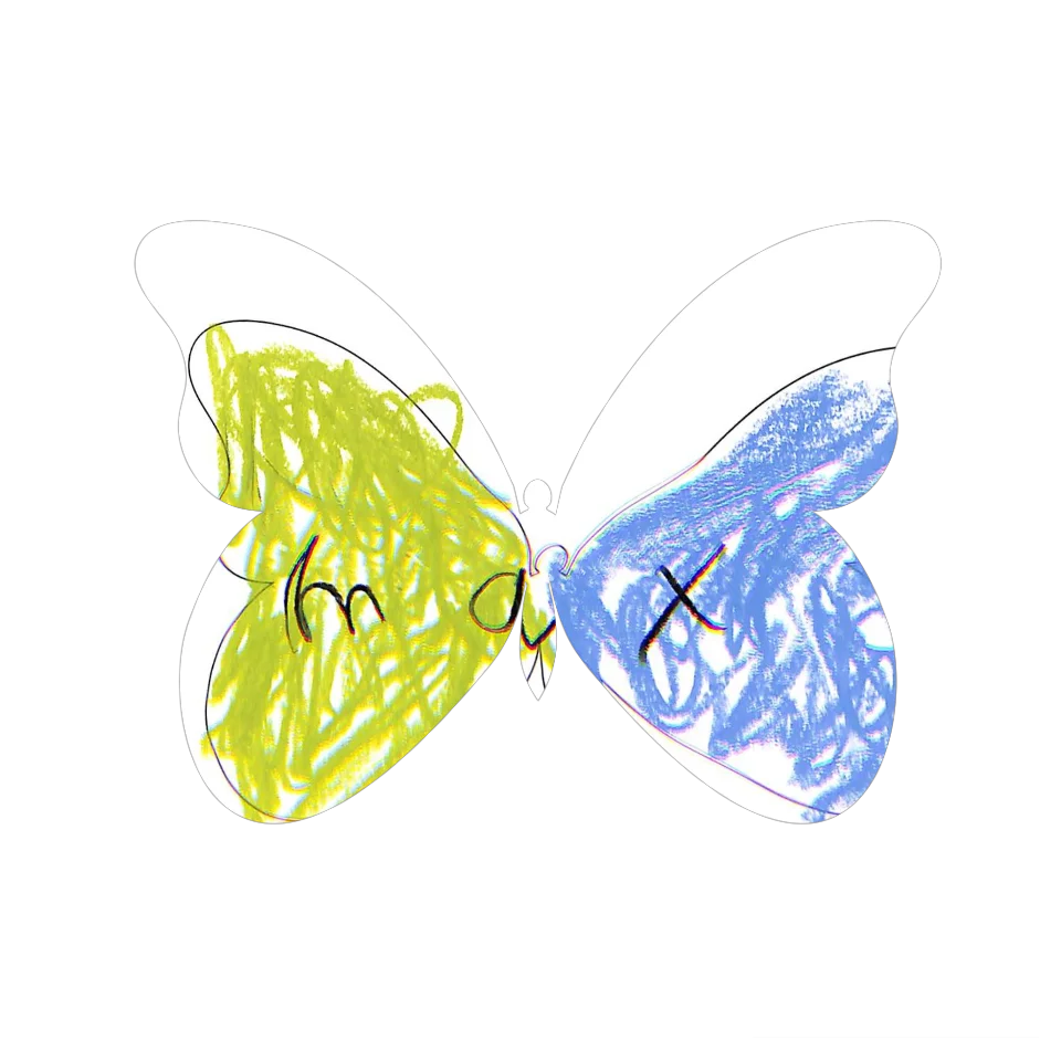 Original Butterfly Image