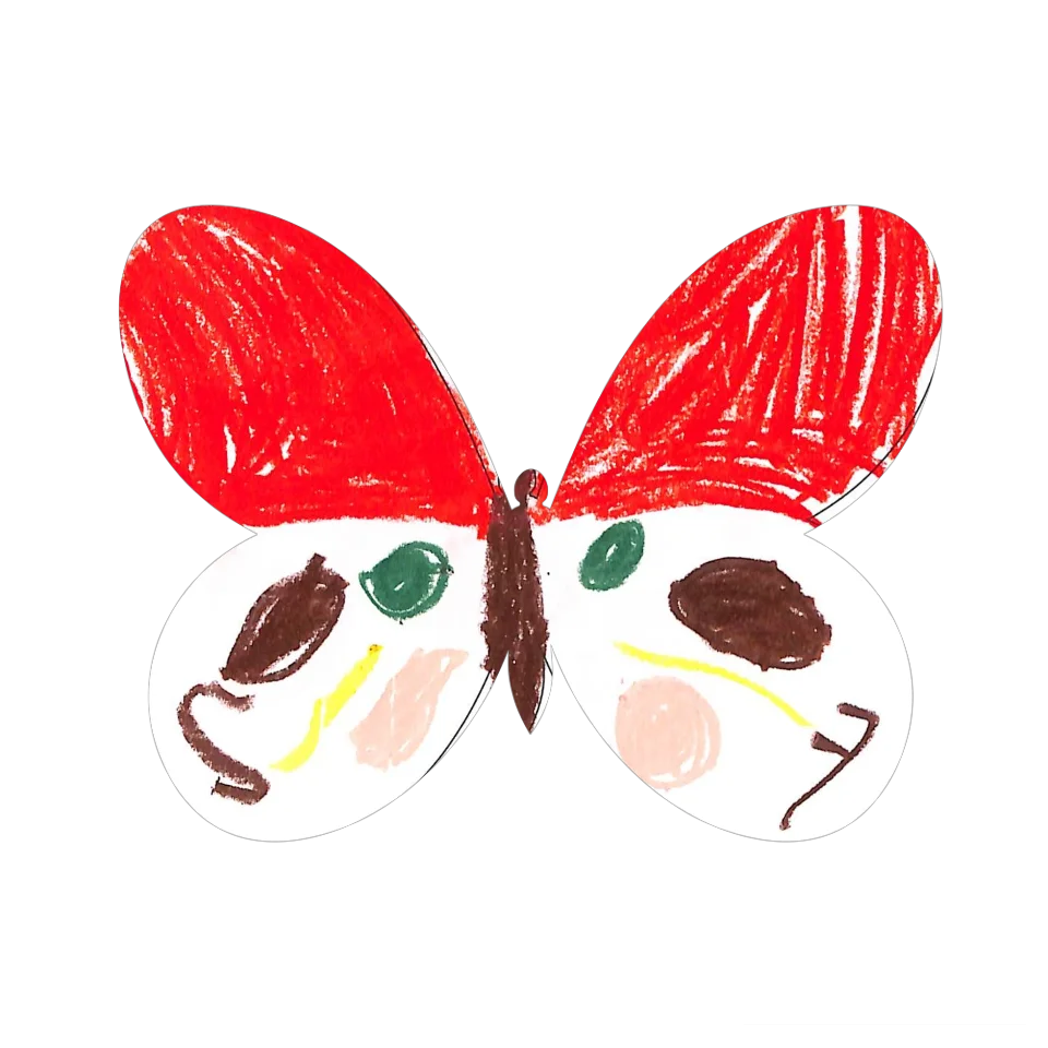 Original Butterfly Image