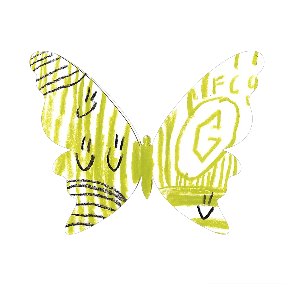Original Butterfly Image
