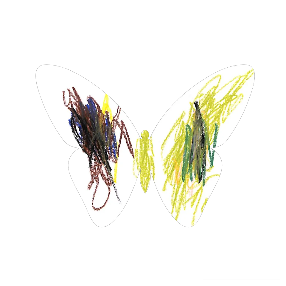 Original Butterfly Image