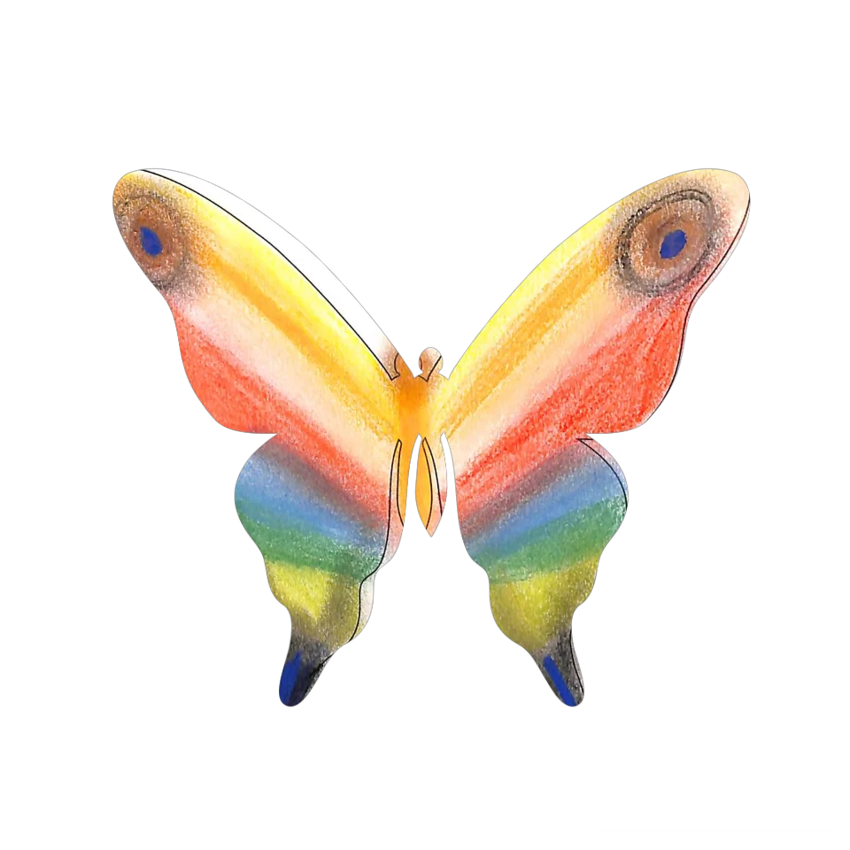 Original Butterfly Image