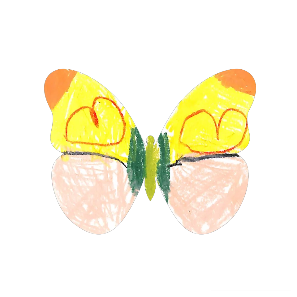 Original Butterfly Image