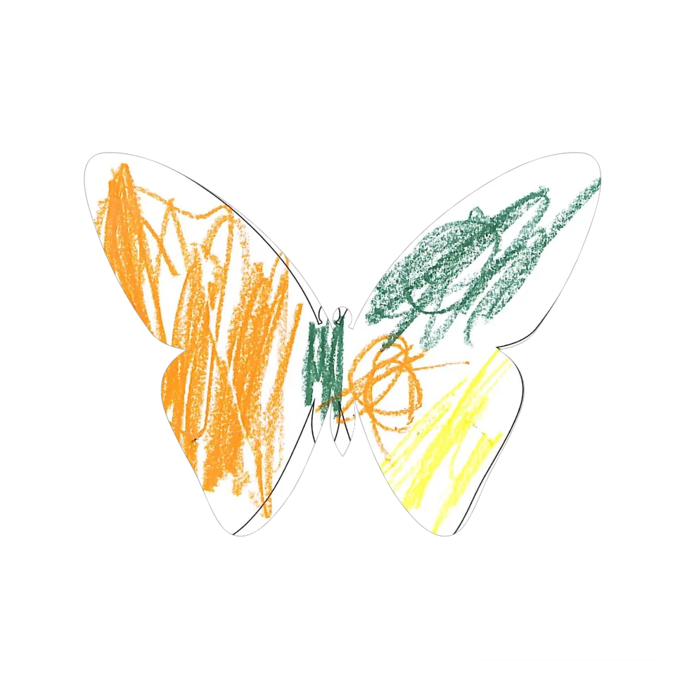 Original Butterfly Image