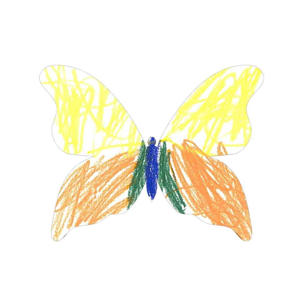 Original Butterfly Image