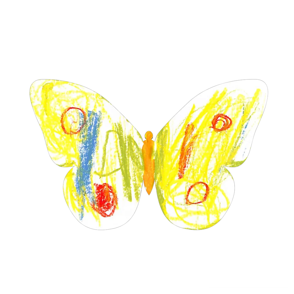 Original Butterfly Image
