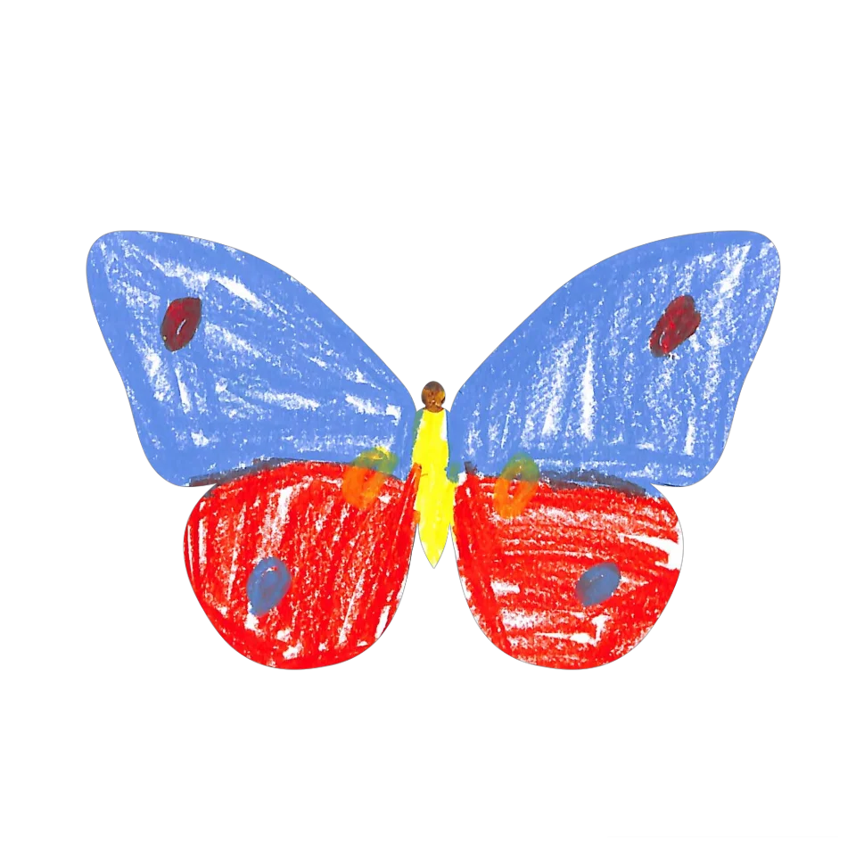 Original Butterfly Image