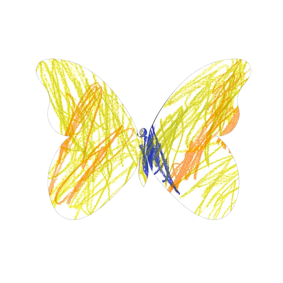 Original Butterfly Image