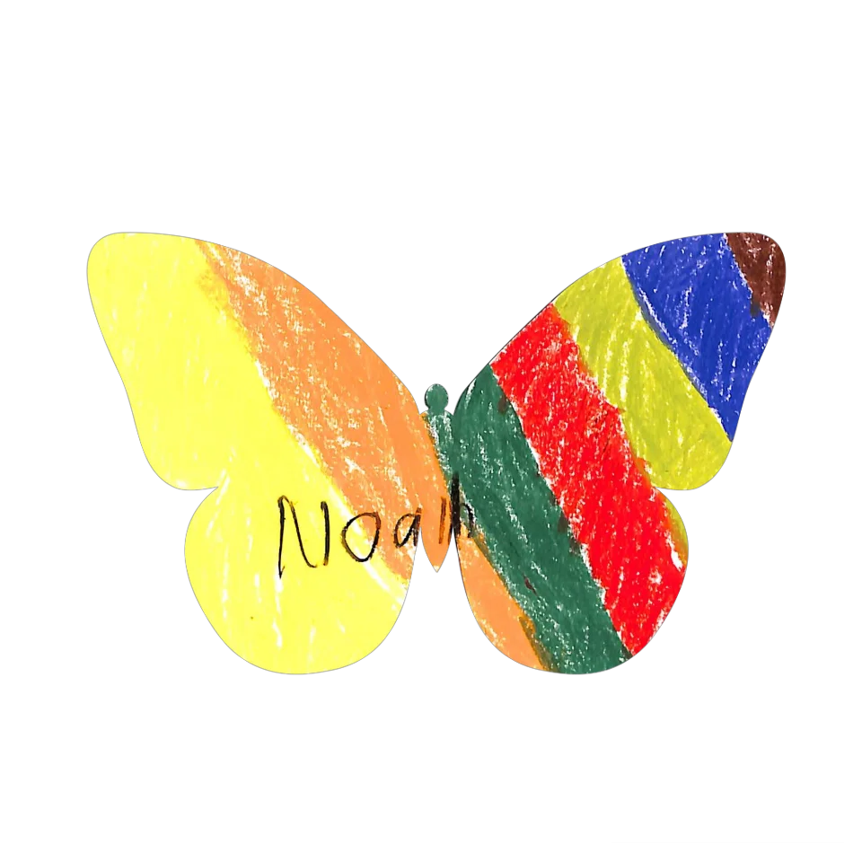 Original Butterfly Image
