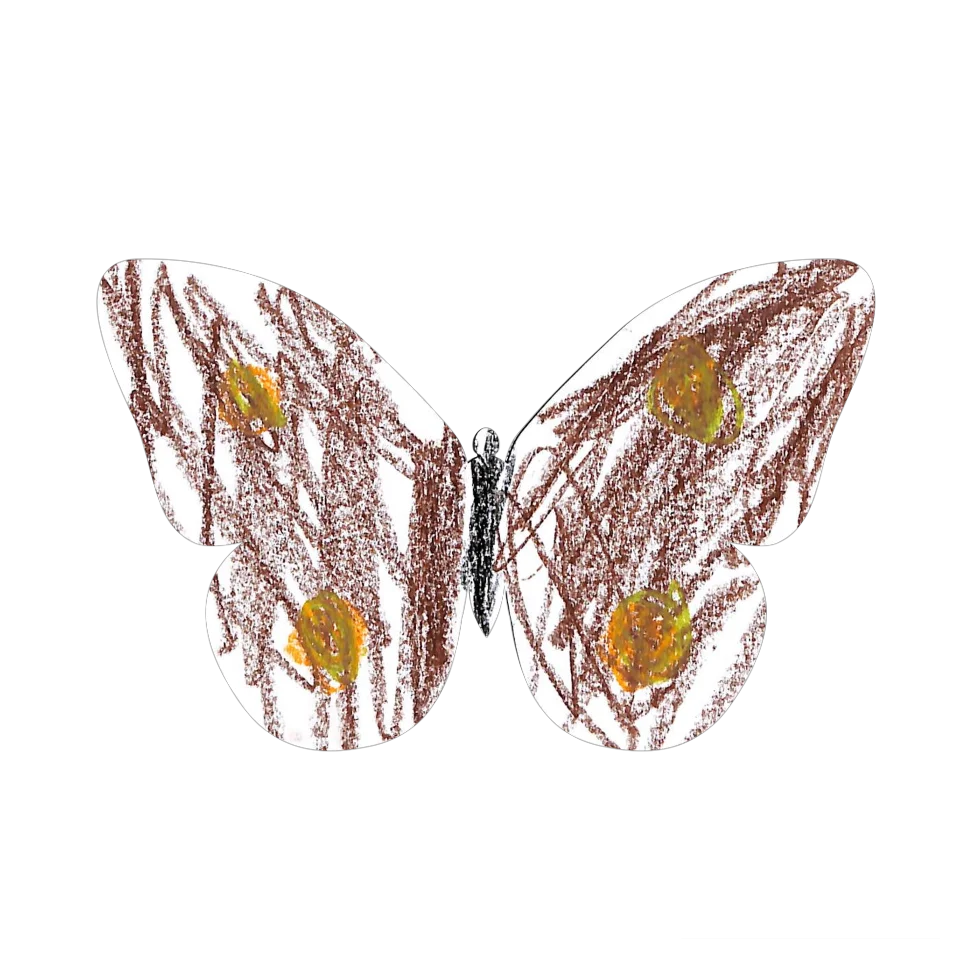 Original Butterfly Image