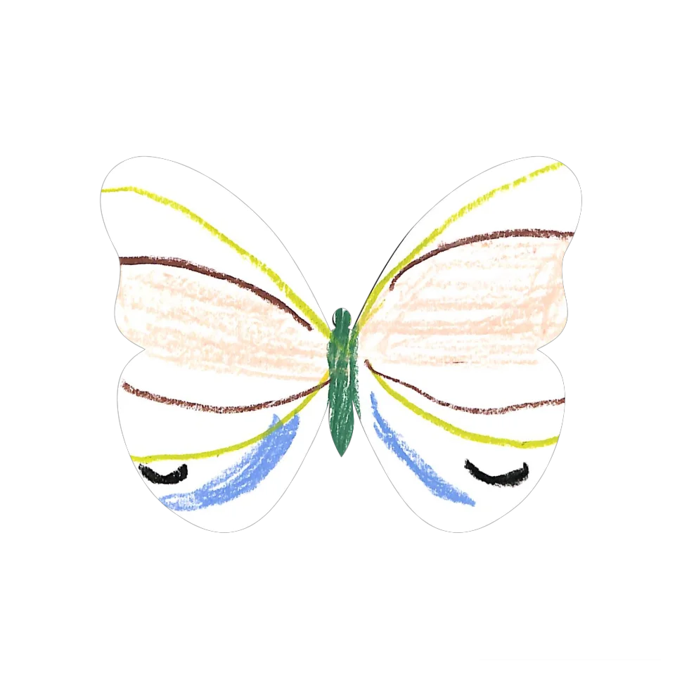 Original Butterfly Image