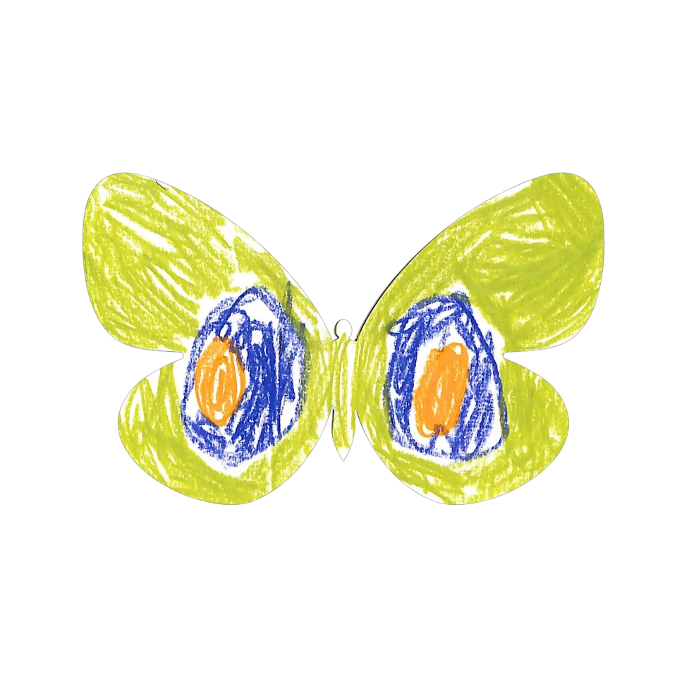 Original Butterfly Image