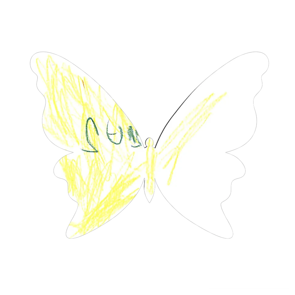 Original Butterfly Image