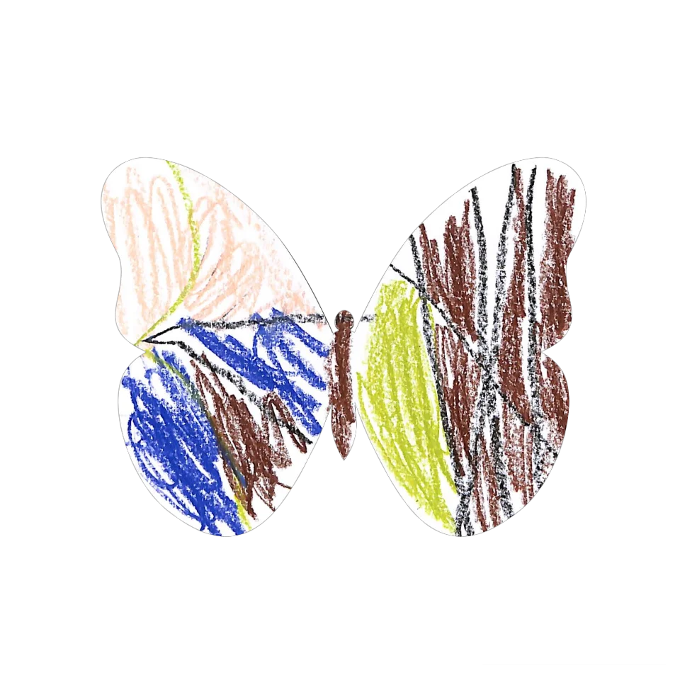 Original Butterfly Image