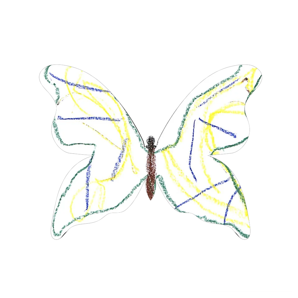 Original Butterfly Image