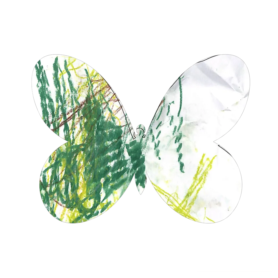 Original Butterfly Image