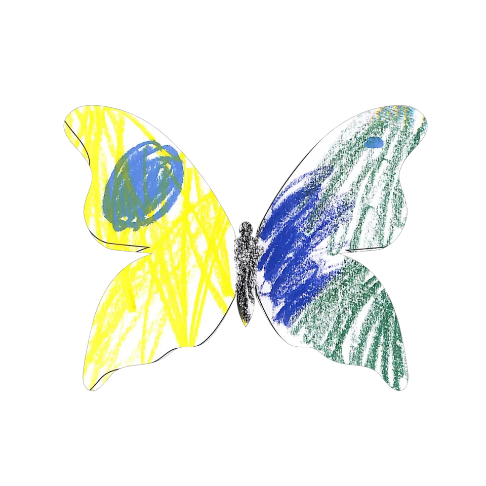 Original Butterfly Image